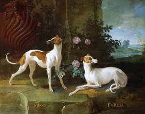 Misse e Turlu, dois galgos de Louis XV